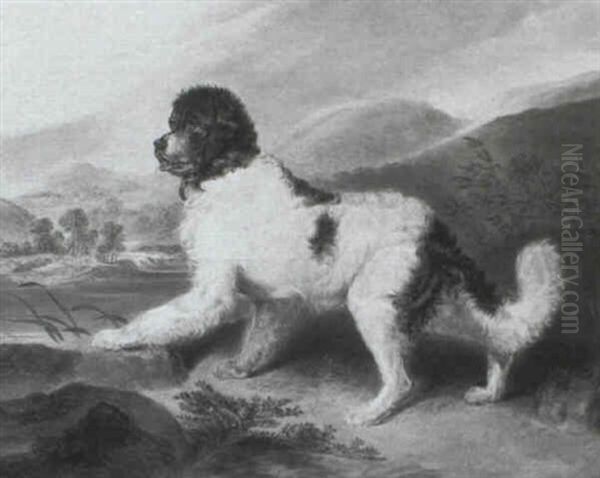 'lion', A Newfoundland, In A Landscape Oil Painting by Sir Edwin Henry Landseer