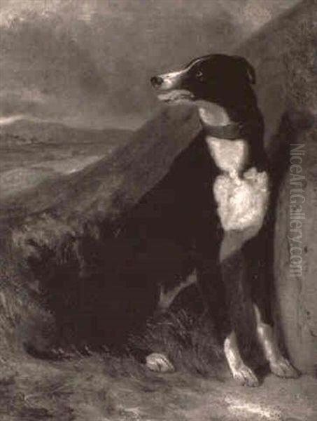 Eso, An Italian Greyhound Oil Painting by Sir Edwin Henry Landseer