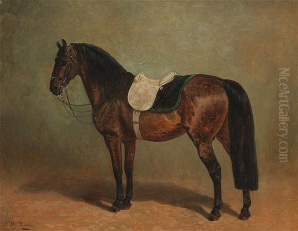 Old Breed Of Lippizaner by Heinrich Lang