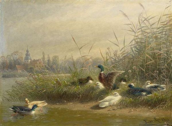 Wildenten Am Ufer Oil Painting by Fritz Lange