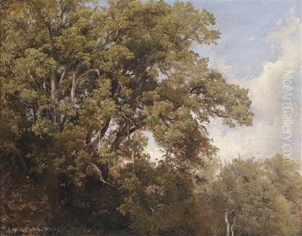 Baumwipfeln Oil Painting by Julius Lange