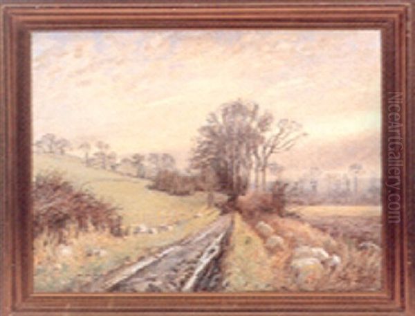 Markvej Ved Rangemolle, Eftermiddags Belysning. Jyderup Oil Painting by Olaf Viggo Peter Langer