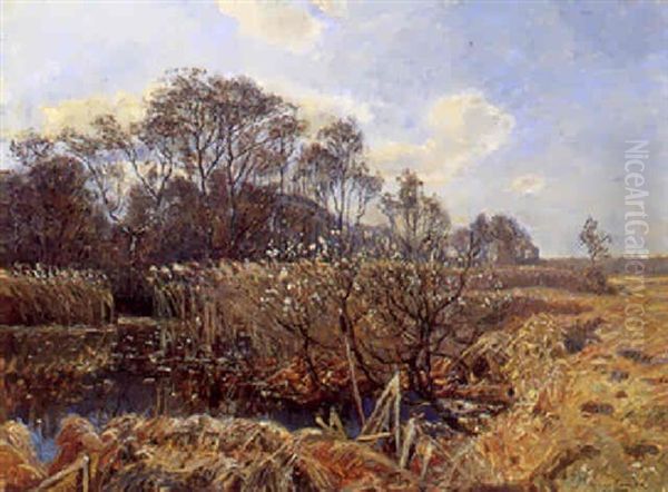 Skovbryn, I Forgrunden Lille So Oil Painting by Olaf Viggo Peter Langer