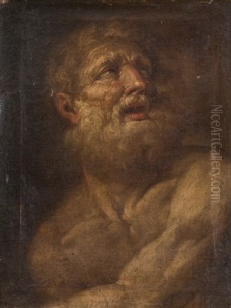 Homme Barbu (study) Oil Painting by Giovanni Battista Langetti