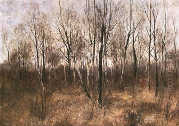 Herbstlicher Birkenwald Oil Painting by Arthur Langhammer