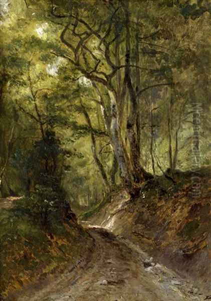 Sonnenbeschienener Waldweg Oil Painting by Dietrich Langko