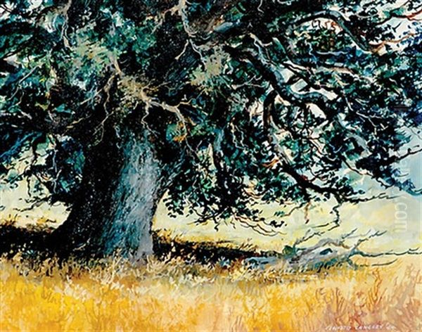 Ancient Tree Oil Painting by Edward M. Langley