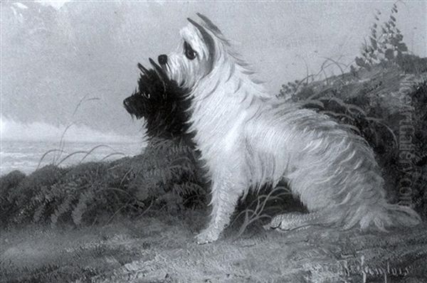 Keeping Watch - A Scottish Terrier And West Highland White Terrier Oil Painting by J. Langlois