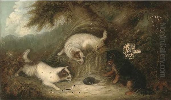 Terriers With A Hedgehog Oil Painting by J. Langlois