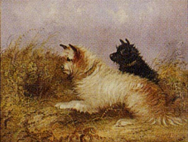 Terriers In A Field Oil Painting by J. Langlois