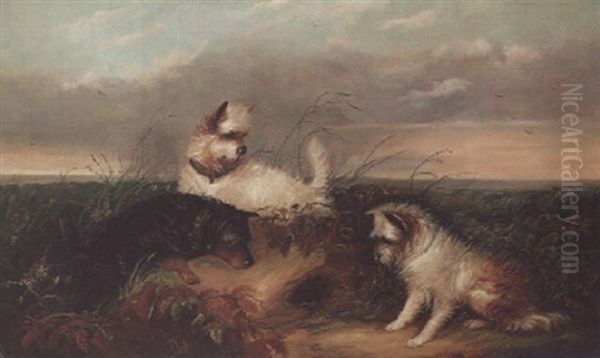 Spaniels Flushing Out A Pheasant Oil Painting by J. Langlois