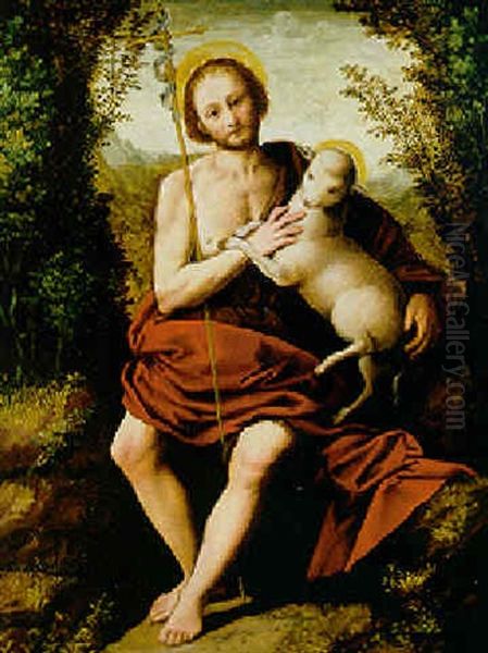 Saint Jean Baptiste Oil Painting by Bernardino Lanino