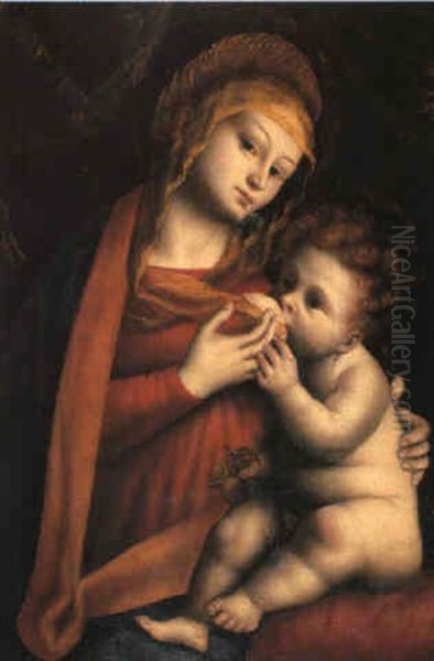 Madonna Col Bambino Oil Painting by Bernardino Lanino