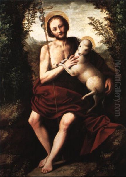 Saint Jean Baptiste Oil Painting by Bernardino Lanino