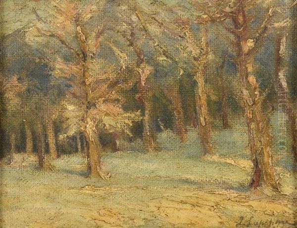 Arbres Sous La Neige Oil Painting by Georgi Alexandrovich Lapchine