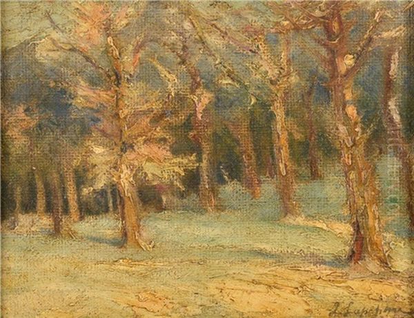 Arbres Sous La Neige by Georgi Alexandrovich Lapchine