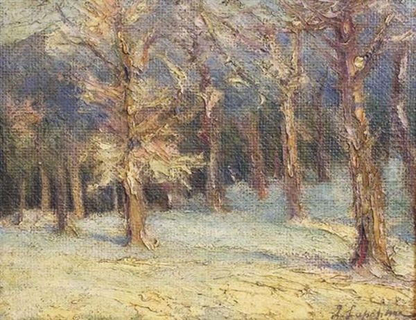 Paysage Hivernale Oil Painting by Georgi Alexandrovich Lapchine