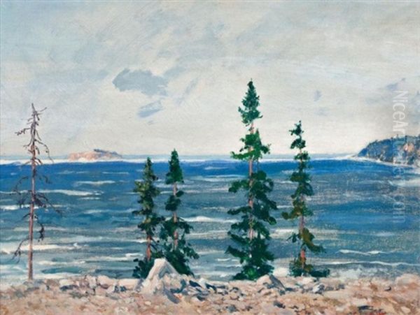 Alona Bay, Lake Superior by Andreas Christian Gottfried Lapine