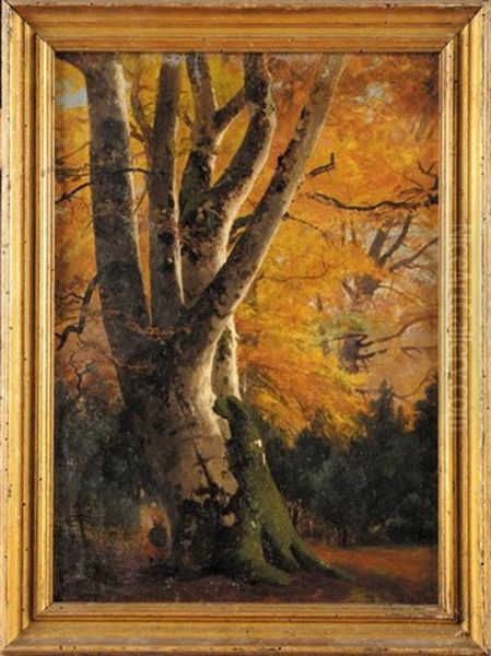 Grand Arbre Fontainebleau En Automne Oil Painting by Louis Auguste Lapito