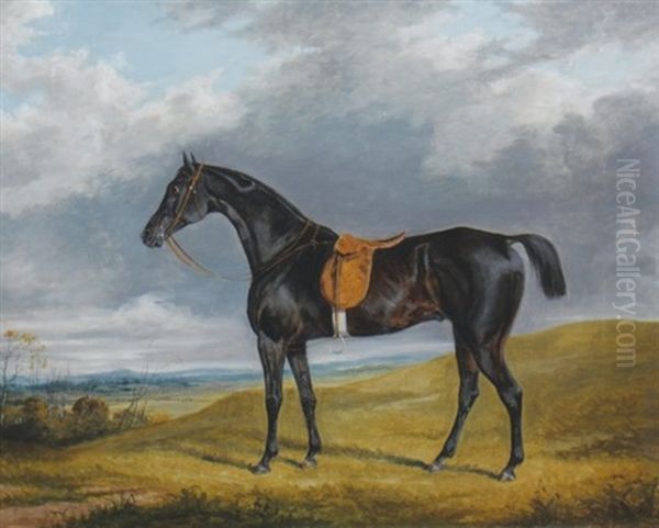 Race Horse In A Landscape Oil Painting by George Henry Laporte