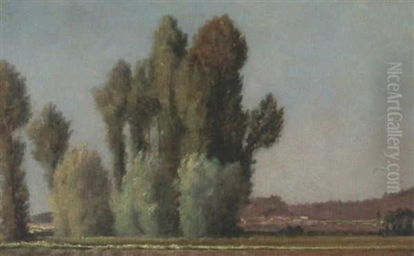 Paysage D'ile De France (peupliers) Oil Painting by Charles Lapostolet