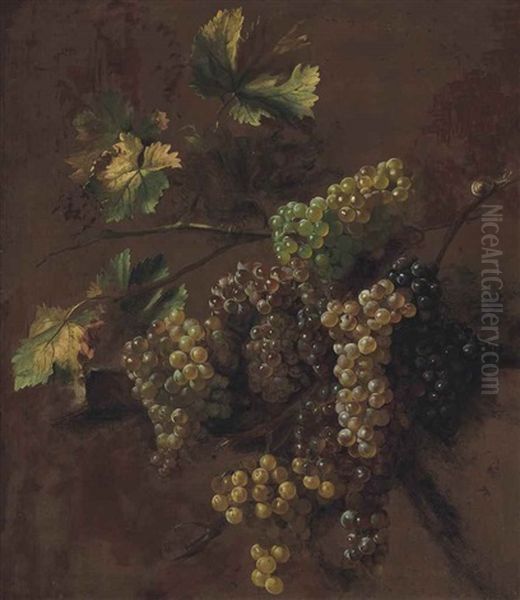 Bunches Of Grapes - A Study Oil Painting by Nicolas de Largilliere