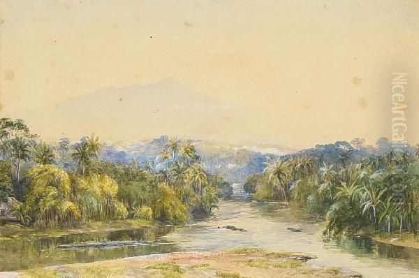 A Beach On Sri Lanka Oil Painting by William Wright Beling