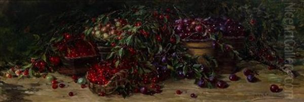 Still Life With Cherries Oil Painting by Maria Luisa de LaRiva y Callol de Munoz