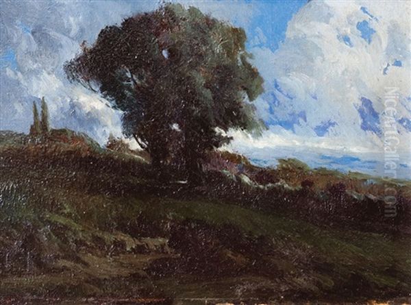 Paisaje De Campo Con Arbol Oil Painting by Ernesto Laroche