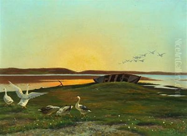 Landscape With Geese In The Sunset Oil Painting by Adolf Alfred Larsen