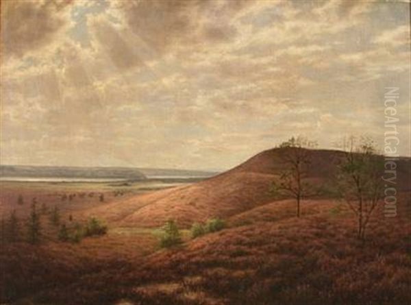 Moor Landscape Oil Painting by Adolf Alfred Larsen