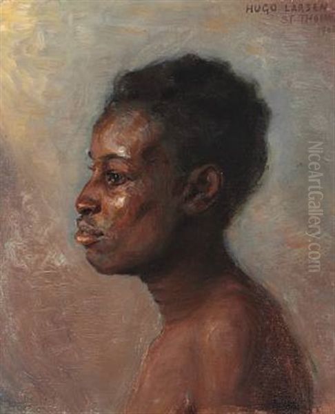 A Man Seen In Profile, St. Thomas, The Danish West Indies Oil Painting by Hugo Valdemar Larsen