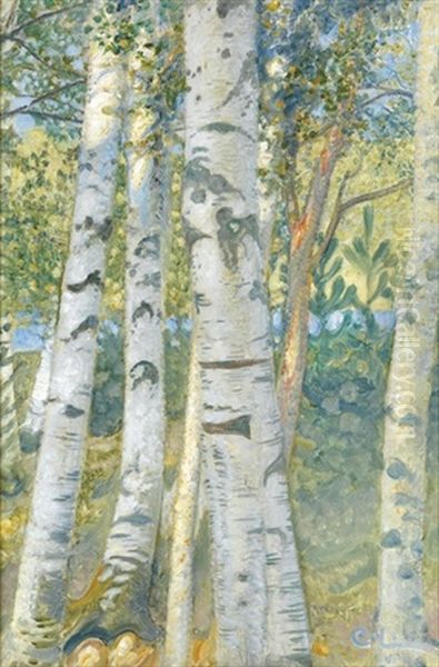 Bjorkstammer - Birch Trees Oil Painting by Carl Olof Larsson