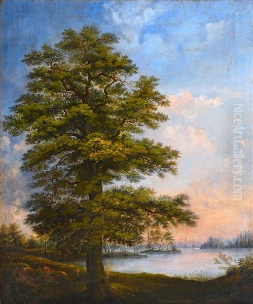 Tree By The Shore Oil Painting by Marcus Larsson