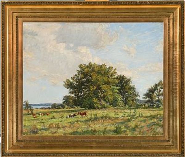 Grazing Cattle On A Field Oil Painting by Aksel Martin Lassen