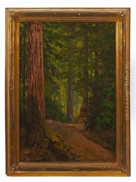 Road Through A Redwood Forest Oil Painting by Lorenzo Palmer Latimer