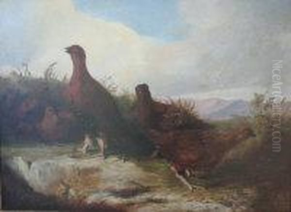 Covey Of Grouse Oil Painting by John Christopher Bell