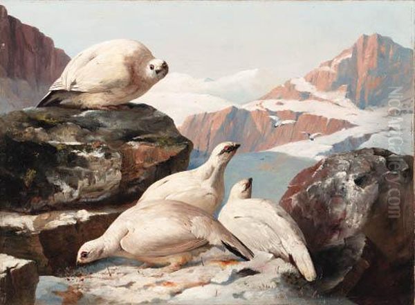 Grouse In The Snow, A Pair Of Paintings
Both Signed 'j. C. Bell 1861' (one Lower Left, One Lowerright) Oil Painting by John Christopher Bell