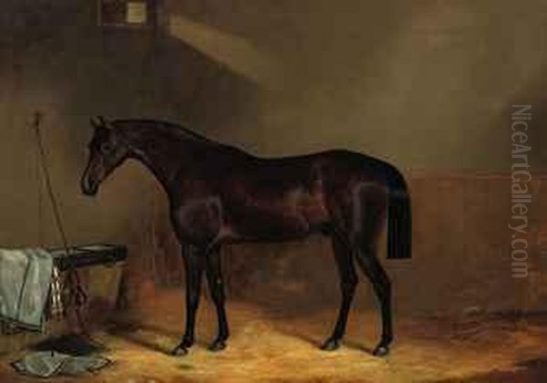 A Chestnut In The Stable Oil Painting by John Clement Bell