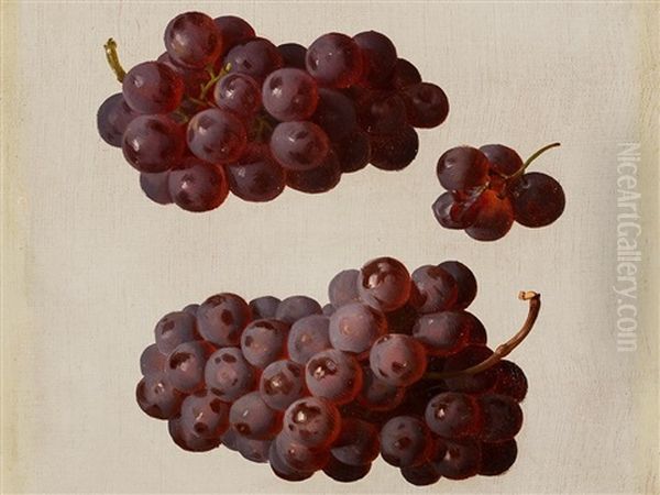 Oil Study With Grapes Oil Painting by Josef Lauer