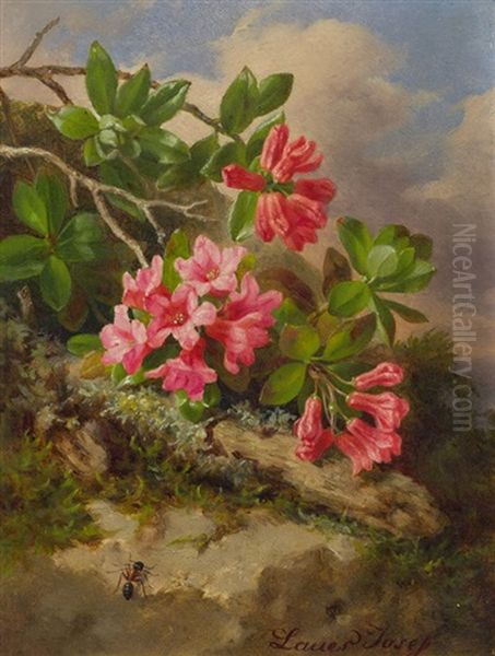 Stillleben Mit Alpenrosen Und Ameise by Josef Lauer