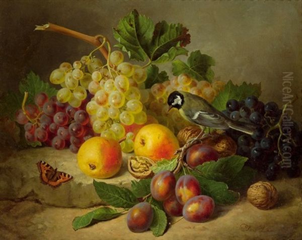 Fruchtestillleben Mit Kohlmeise Und Schmetterling Oil Painting by Josef Lauer