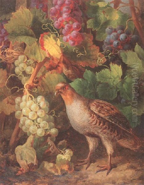 Rebhuhn Und Weinreben Oil Painting by Josef Lauer