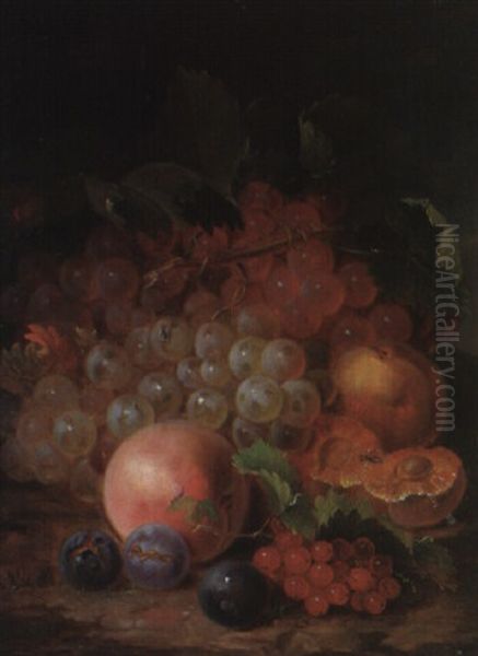 Obstilleben Mit Biene Und Fliege Oil Painting by Josef Lauer