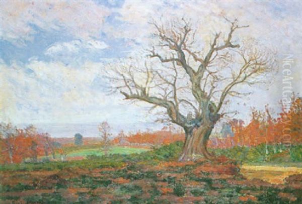 L'automne En Creuse Oil Painting by Abel Louis Alphonse Lauvray