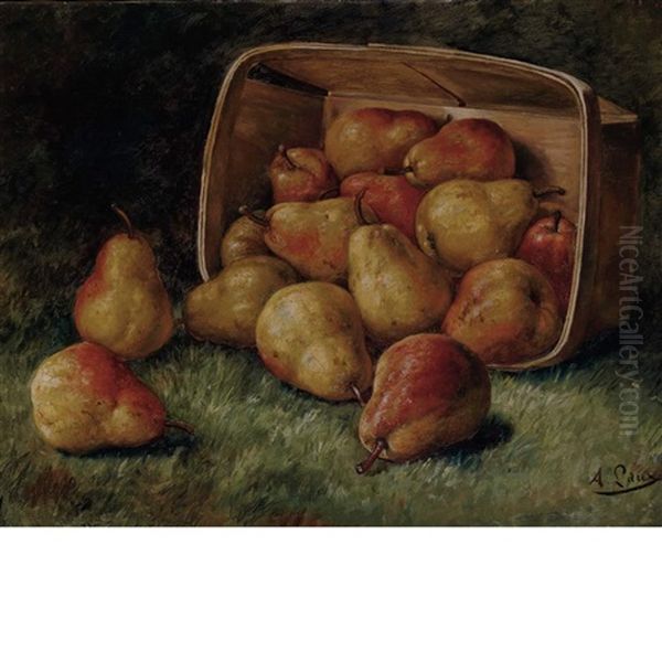 Pears Spilling From A Basket Oil Painting by August Laux