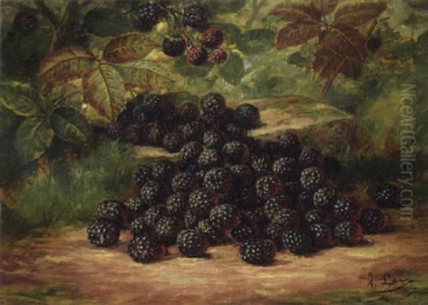 Still Life With Blackberries Oil Painting by August Laux