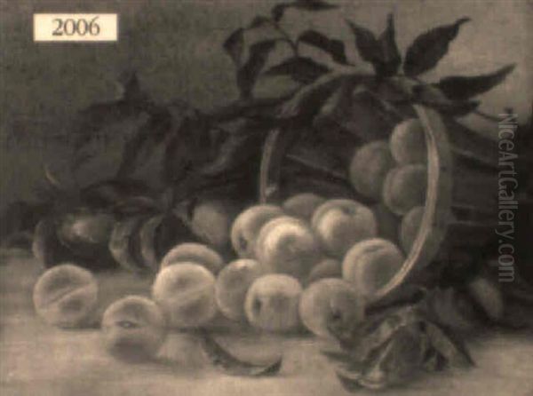 Still Life Of Peaches Spilled From A Basket Oil Painting by August Laux