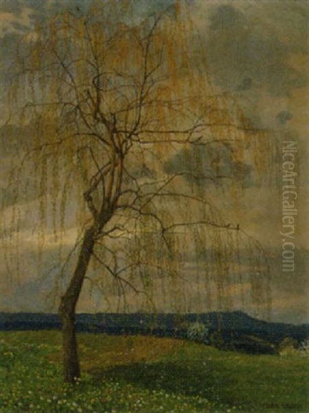 Weide Im Fruhling Oil Painting by Cora Lauzil