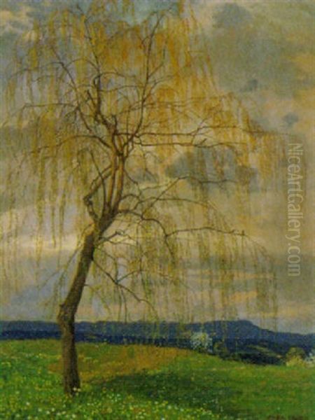 Weide Im Fruhling Oil Painting by Cora Lauzil